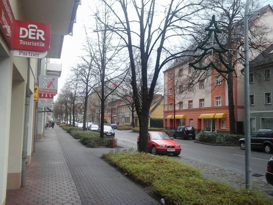 A sidewalk and street in December.