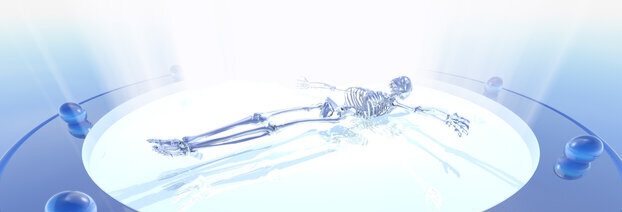 Glossy digital skeleton on glossy digital glass.