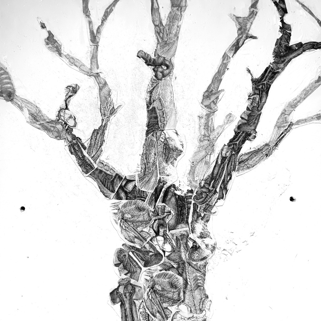 Collaged parts of the human body, forming the top of a tree.